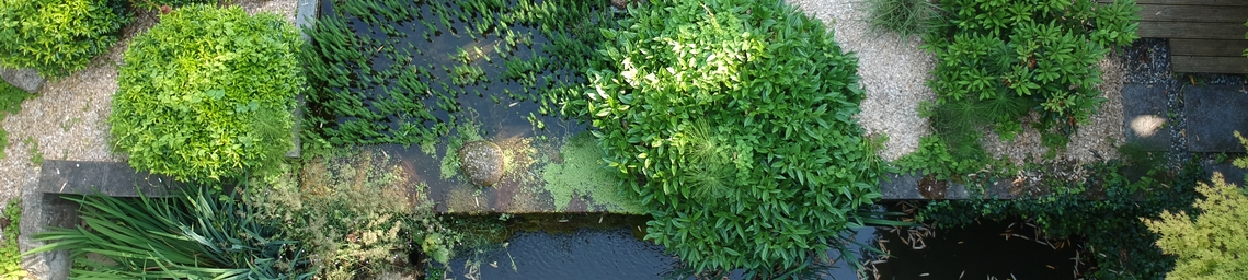 DCIM/100MEDIA/DJI_0055.JPG