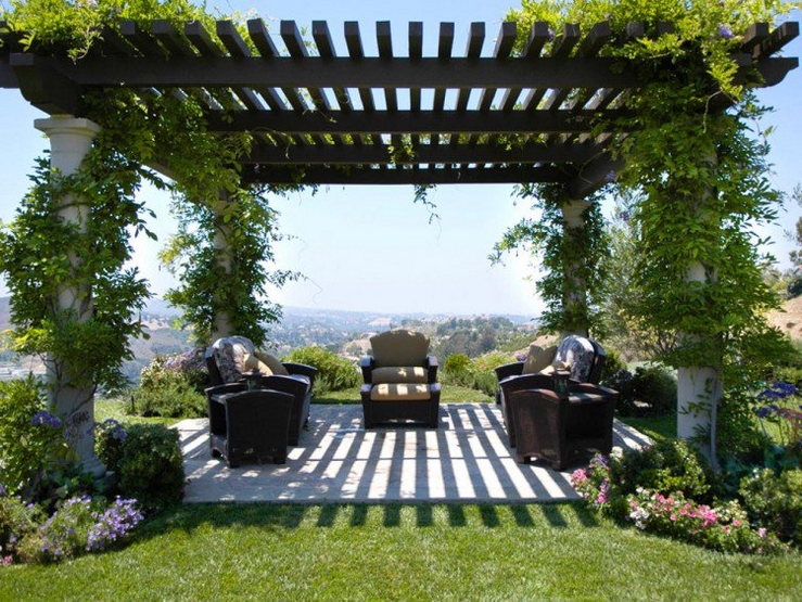 pergola-plantes-grimpantes-95 pergola-plantes-grimpantes-95